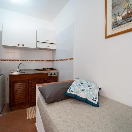 Wonderful Seaview Il Gabbiano Reale